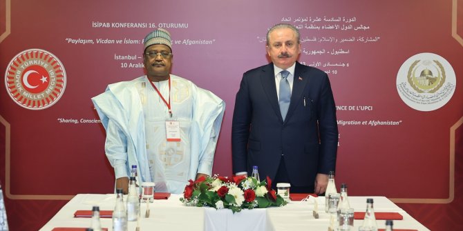 TBMM Başkanı Şentop, Nijer Ulusal Meclis Başkanı Ouamar ile görüştü