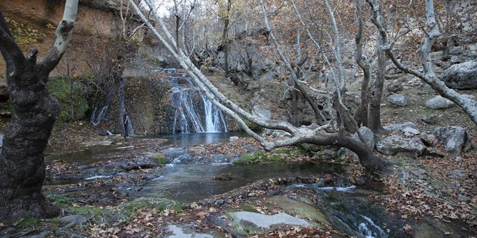 Bertür Vadisi ve Kayaboyun Şelalesi her mevsim ziyaretçilerini cezbediyor