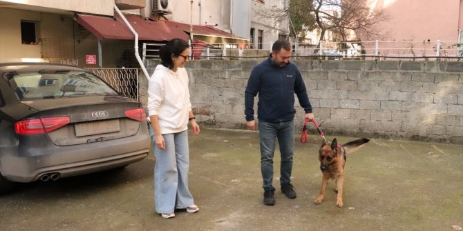 GÜNCELLEME - Zonguldak'ta çalınan köpeklerini bulan çift, büyük sevinç yaşadı