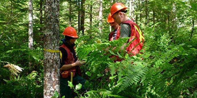 Orman Genel Müdürlüğü orman mühendisi alacak