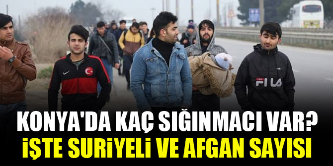 Konya'da kaç sığınmacı var? İşte Suriyeli ve Afgan sayısı