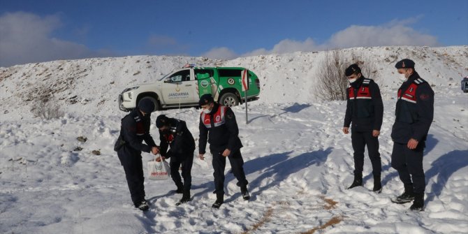 Yozgat'ta jandarma ekipleri yaban hayvanları için doğaya yem bıraktı