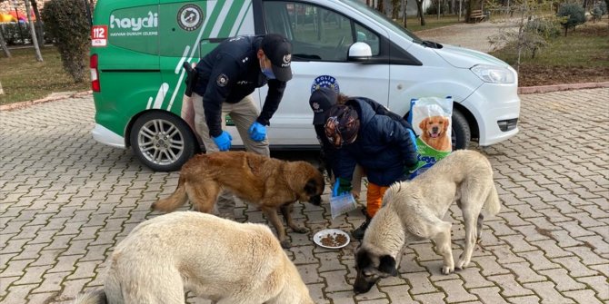 Polis kışın yiyecek bulamayan sokak ve yaban hayvanlarına destek oldu