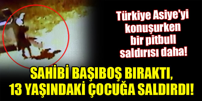 Türkiye Asiye'yi konuşurken bir pitbull saldırısı daha! Sahibi başıboş bıraktı, 12 yaşındaki çocuğa saldırdı!