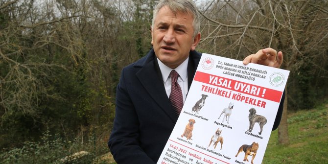 Yasaklı 6 köpek ırkının kayıt altına alınması için son tarih 14 Ocak