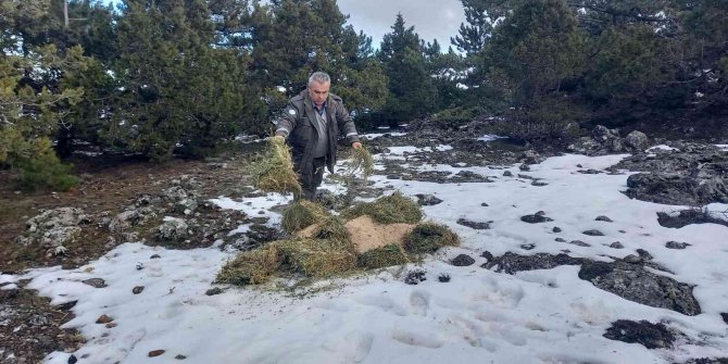 Ağır kış şartlarında doğadaki canlılar unutulmadı