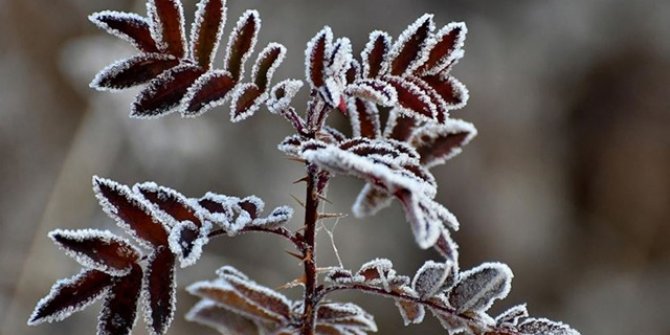 Meteorolojiden çığ, buzlanma ve don uyarısı