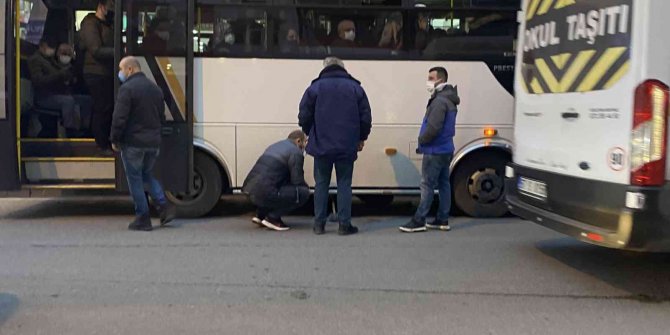 Yolcular kediyi fark etti, otobüs cadde ortasında durduruldu