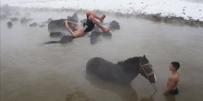 Turkish farmers bathe their buffalo, horses in hot spring waters during winter