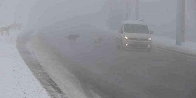 Erzincan’ı sis, pus, kırağı sardı