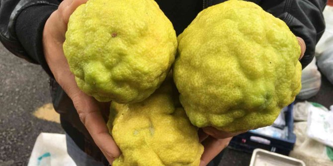 Bergamot, pazarın ilgi odağı oldu