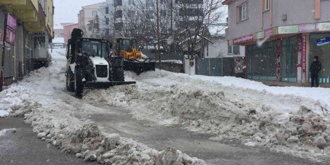 Karlar kamyonlarla kent dışına taşınıyor