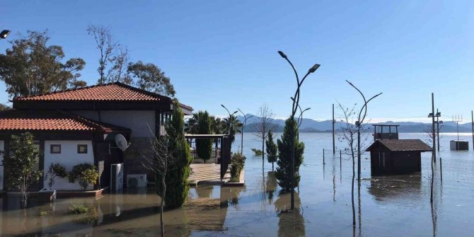 Arı kovanları sular altında kaldı