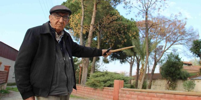 Kuraklık köyün gri balıkçıl misafirlerini küstürdü