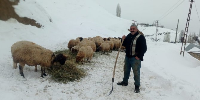 2 bin rakımda besicilerin zorlu yaşam mücadelesi