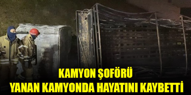 Kamyon şoförü yanan kamyonda hayatını kaybetti