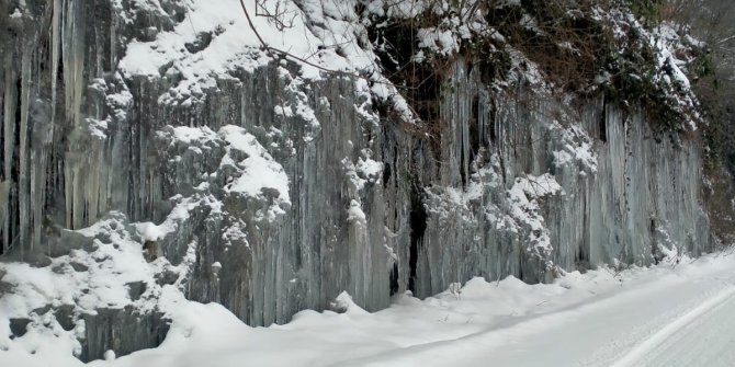 Ordu’da donduran görüntü