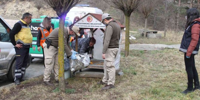 HAYDİ ekipleri, soğuk kış gününde sokak hayvanlarını yalnız bırakmadı