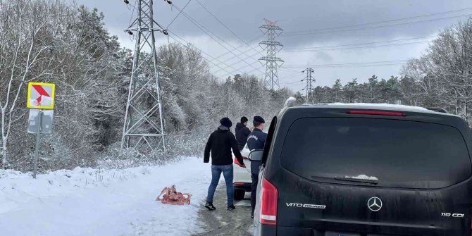 Jandarma sokak hayvanlarını besledi