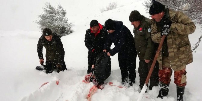 Yoğun kar yağışında yaban hayvanları unutulmadı