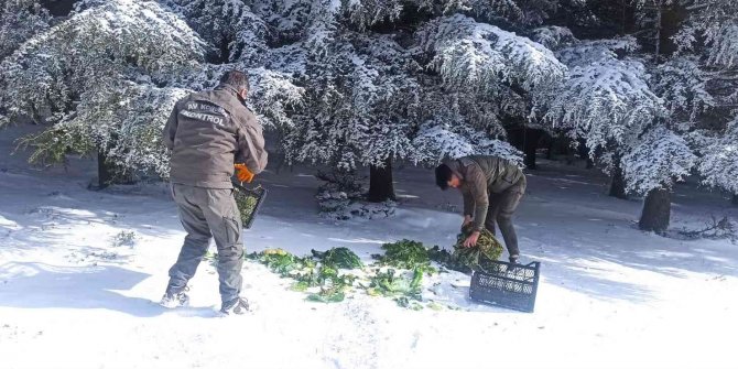 Yaban hayatına 15 ton yem bırakıldı