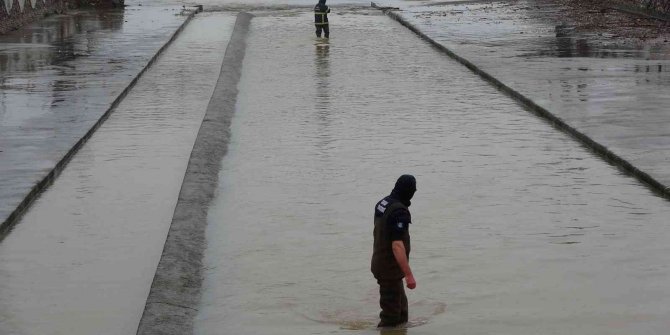 İtfaiye, dereye düşen cep telefonunu bulmak için buz gibi suya girdi