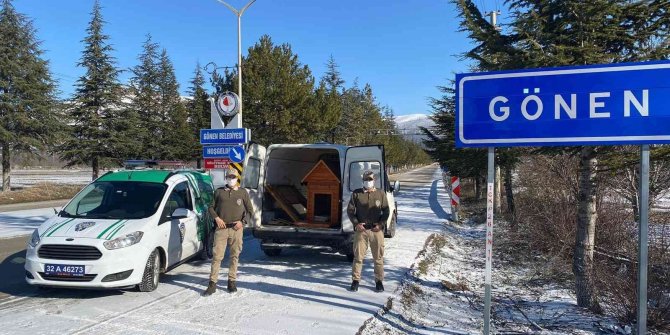 HAYDİ ekipleri yeni doğum yapan anne ve 4 yavru köpeğe sahip çıktı