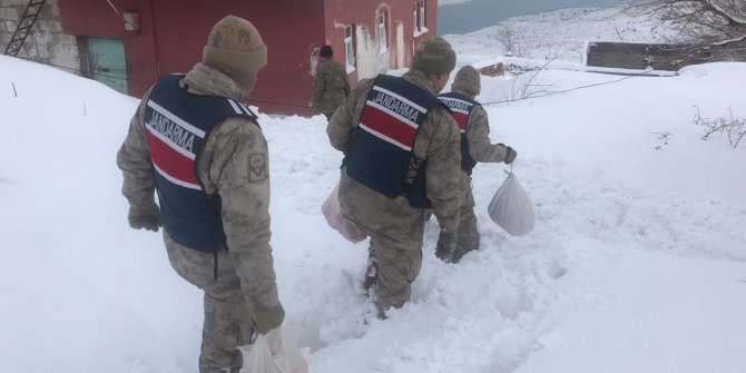 Yaşlı çiftin yardım çağrısına jandarma yetişti