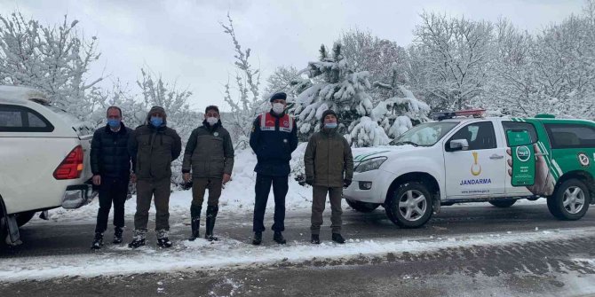 Yalova’da yaban ve av hayvanları için doğaya yem bırakıldı