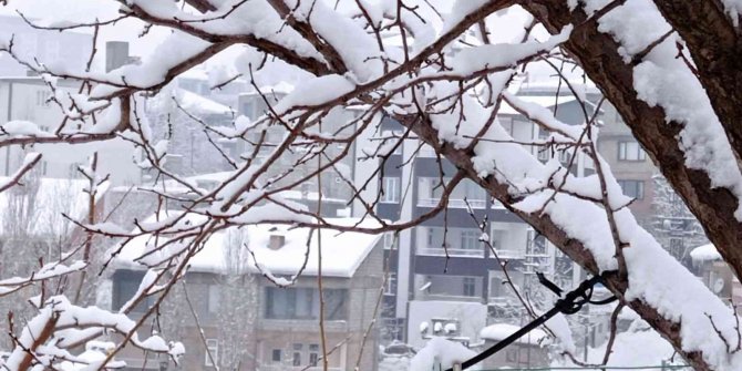 Hakkari’de 21 yerleşim yeri yolu ulaşıma kapandı