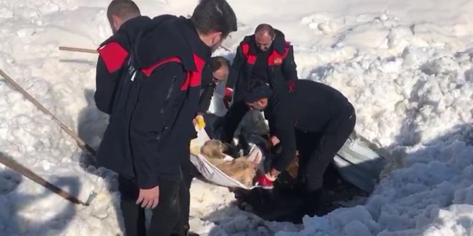 Enkazın altındaki köpek kurtarıldı