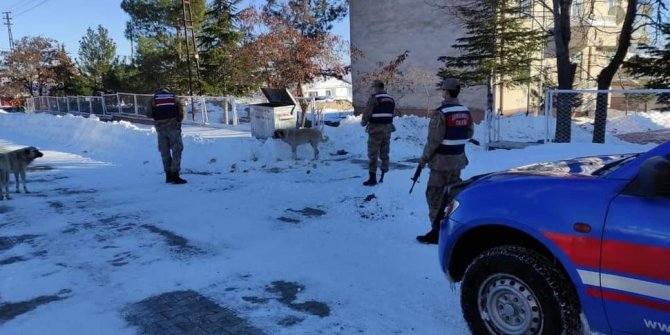 Jandarma sokak hayvanlarını unutmadı