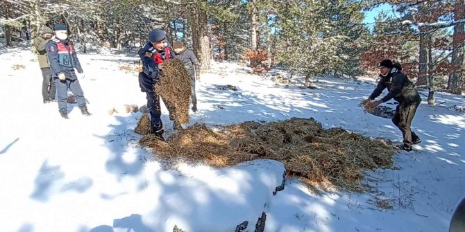 Karla kaplı Kazdağları’na yaban hayvanları için yem bırakıldı