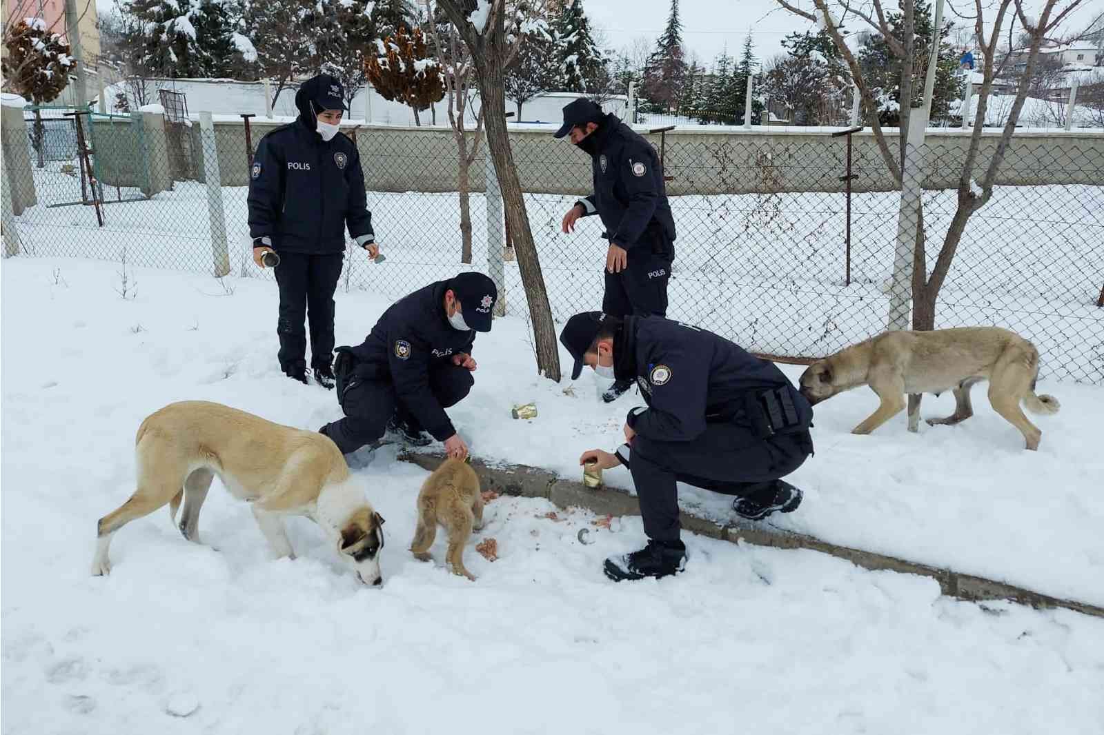 Sokak hayvanlarına polis şefkati