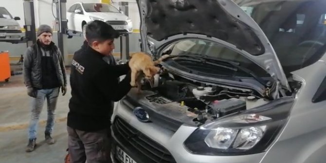 Isınmak için girdiği aracın motorundan çıkmak istemedi