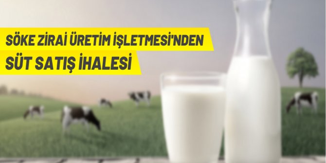 Süt satış ihalesi