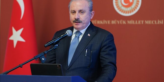 Predsjednik parlamenta Turkiye poziva na konkretne korake protiv rasizma i islamofobije