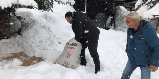 Seydişehir'de kuşlar için doğaya yem bırakıldı