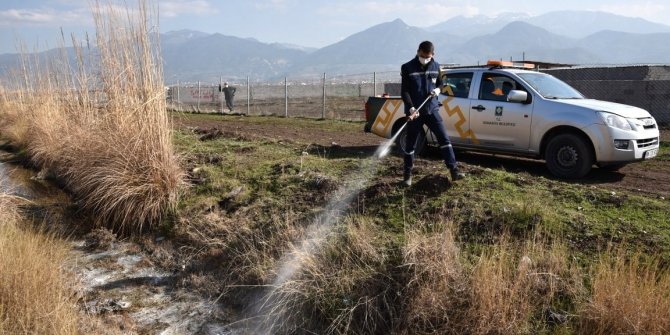 Osmaniye’de vektörle mücadele yıl boyu sürüyor