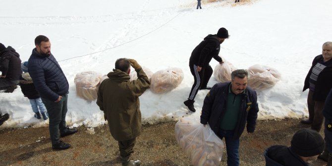 Beyşehir'de yaban hayvanları için doğaya yem bırakıldı