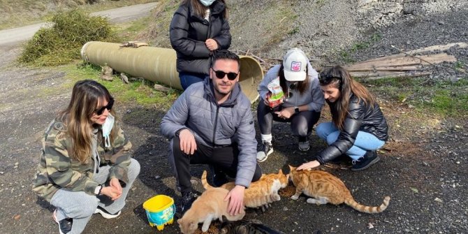 Zonguldak Barosu avukatları sokak hayvanlarını besledi