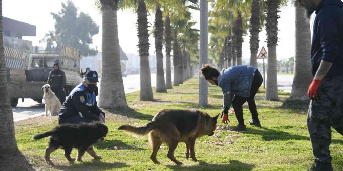 Adana’da sokak hayvanları unutulmadı