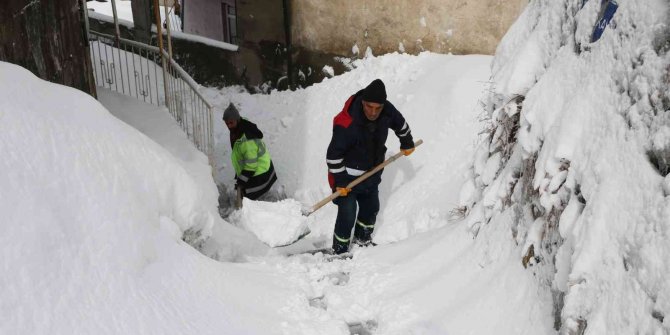 Bitlis Belediyesini karla mücadele çalışmaları