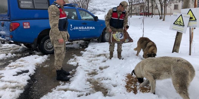 Jandarmadan can dostlara mama desteği