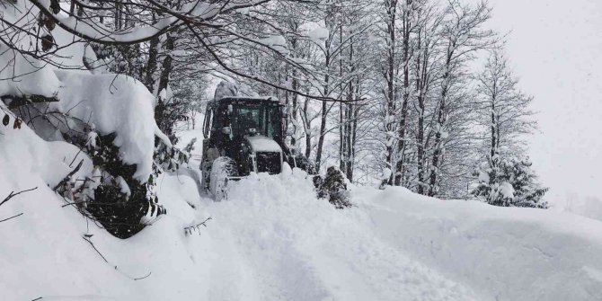 Doğu Karadeniz’de kış