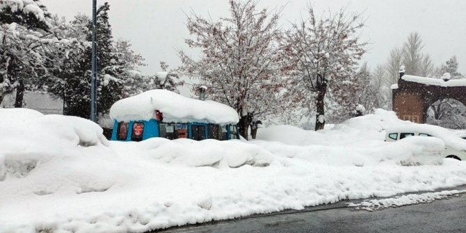 Bitlis’te 248 köy yolu ulaşıma kapandı