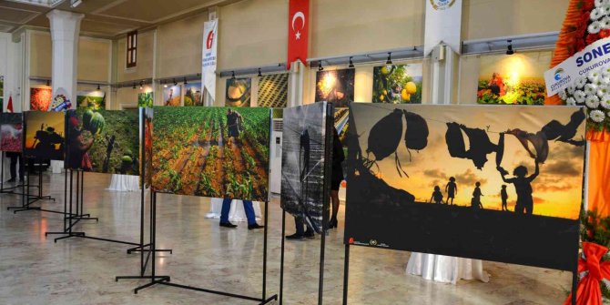 Tarım ve İnsan” konulu fotoğraf sergisi açıldı