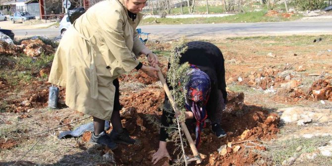 Şehitler adına iki orman kuruldu, ilk fidanları aileleri dikti