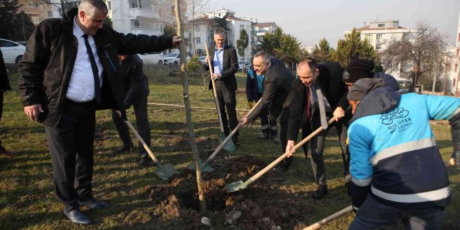 Fidanlar toprakla buluştu