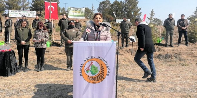 "Kütahya, orman ve tabiat varlığı bakımından Türkiye ve dünya ortalamasının üzerinde"